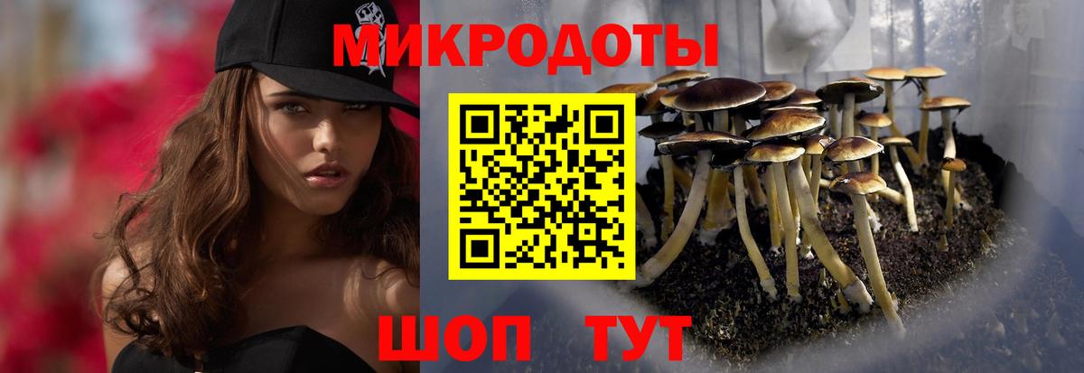 Галлюциногенные грибы мицелий  Вход с VPN  Галлюциногенные грибы Psilocybe  Ярцево 