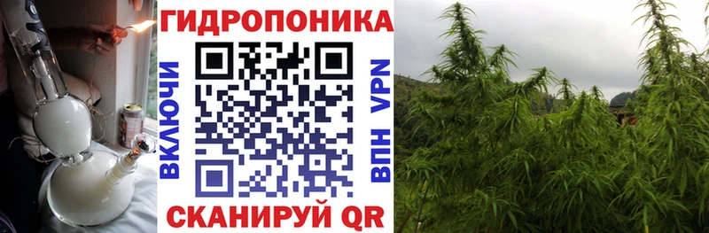 купить Ярцево МАРИХУАНА SATIVA & INDICA